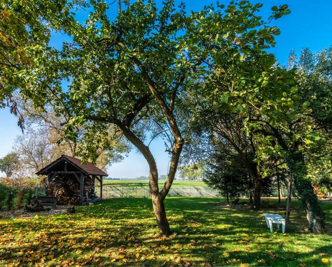 Casa Mia Xix-W Nadmorski Dom Z Ogrodem Cedry Male Exteriér fotografie